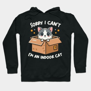 Sorry I Can't I'm An Indoor Cat Hoodie